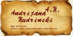 Andrijana Mudrinski vizit kartica